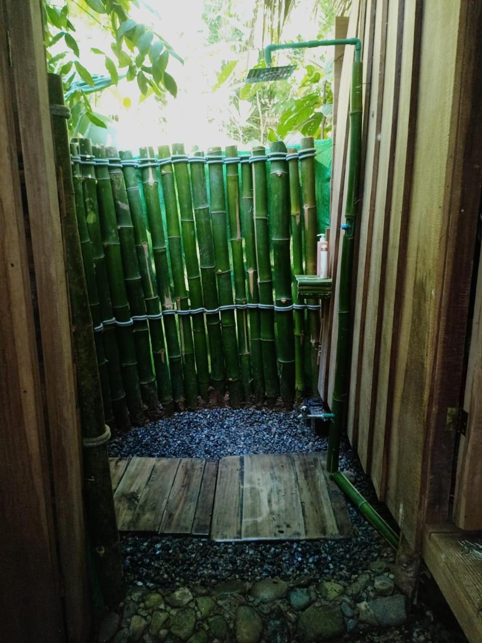 Puerto Viejo de Talamanca Hotel Boutique The Green Jungle House מראה חיצוני תמונה
