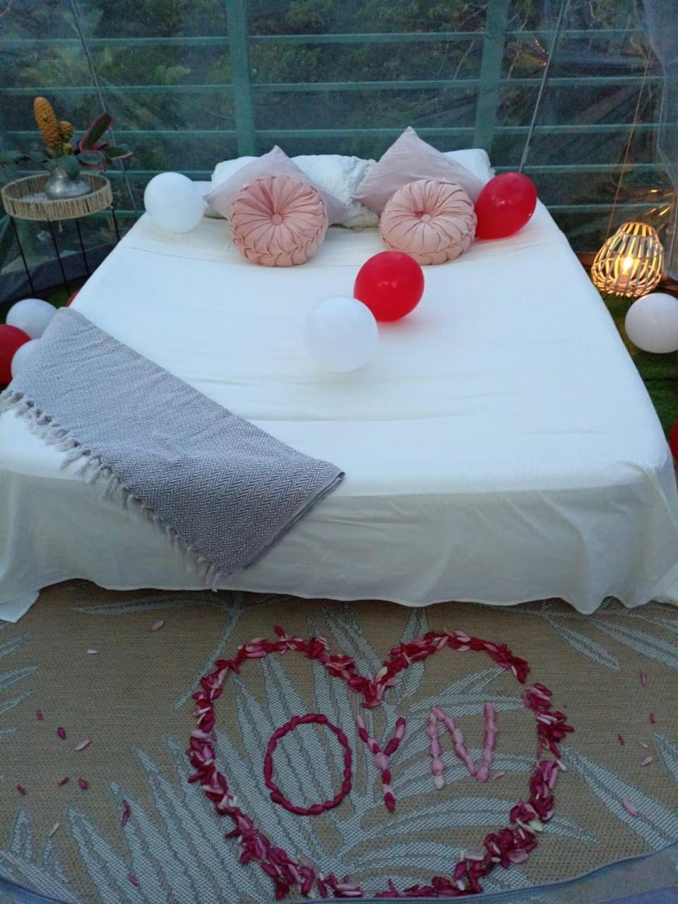 Puerto Viejo de Talamanca Hotel Boutique The Green Jungle House מראה חיצוני תמונה